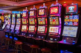 7788bet6 7788bet6